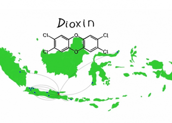 PRESS RELEASE – Dioxins: From two villages to twelve cities