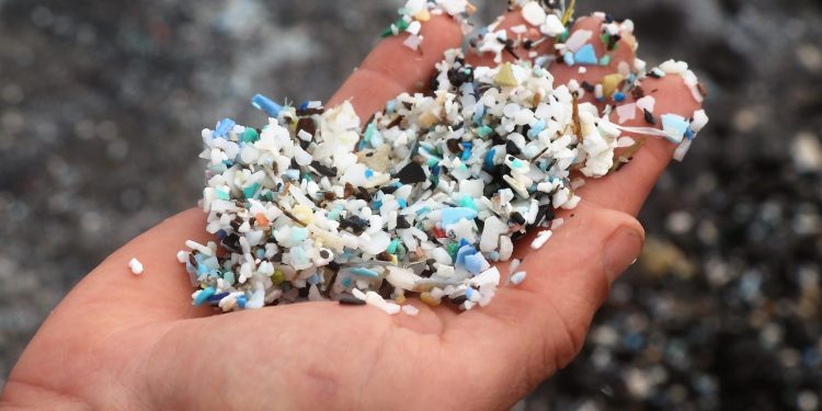 Mikroplastik Ditemukan pada Otak Tikus, Bagaimana dengan Manusia?