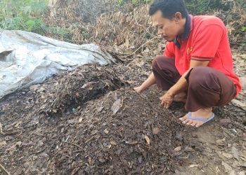 Dari Sampah Jadi Cuan: Achmad Taufik, Warga Gresik Sulap Tumpukan Daun Jadi Emas