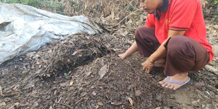 Dari Sampah Jadi Cuan: Achmad Taufik, Warga Gresik Sulap Tumpukan Daun Jadi Emas